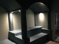 LES THERMES DE SAUJON - Photo 3