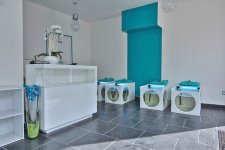 FISH & SPA - Photo 2