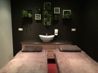 LE SPA DU PLESSIS - Photo 2