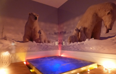 NORDIC SPA - Photo 3