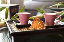 LOK SIAM SPA TERNES - Photo 3