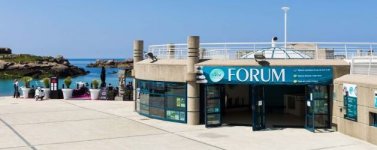 FORUM DE TREGASTEL - Photo 1