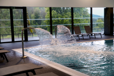 THERMES DE SALINS-LES-BAINS - Photo 1