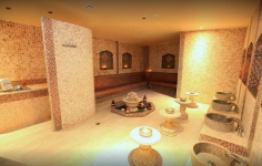 LES BAINS DE SHERAZADE  - Photo 4