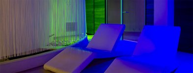 CHÊNES BLANCS LE GRAND HÔTEL & SPA - Photo 4