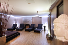 SPA NEGRESKO - Photo 3