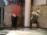 SPA ROSELYNE FOLL - Photo 2