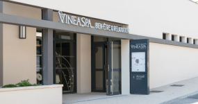 VINEASPA LE RICHEBOURG - Photo 3