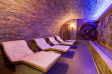 SPA LES VIOLETTES - Photo 1
