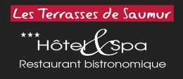 HOTEL LES TERRASSES DE SAUMUR & SPA